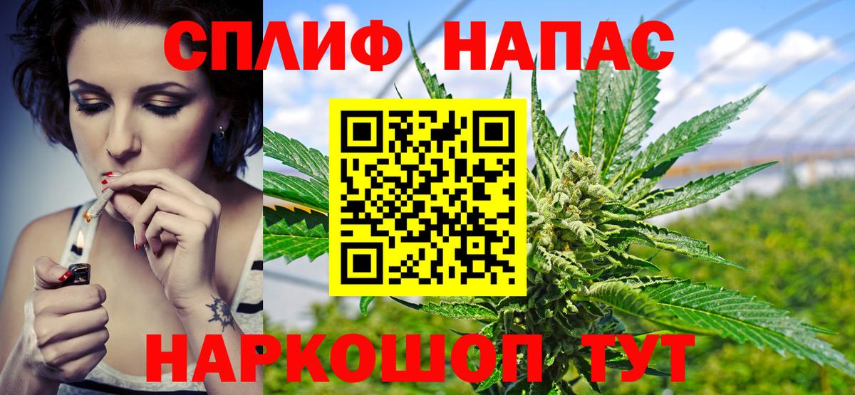 Бошки Шишки семена  Бошки Шишки VHQ  Конопля OG Kush  Вход с VPN  Волжск  Конопля планчик 